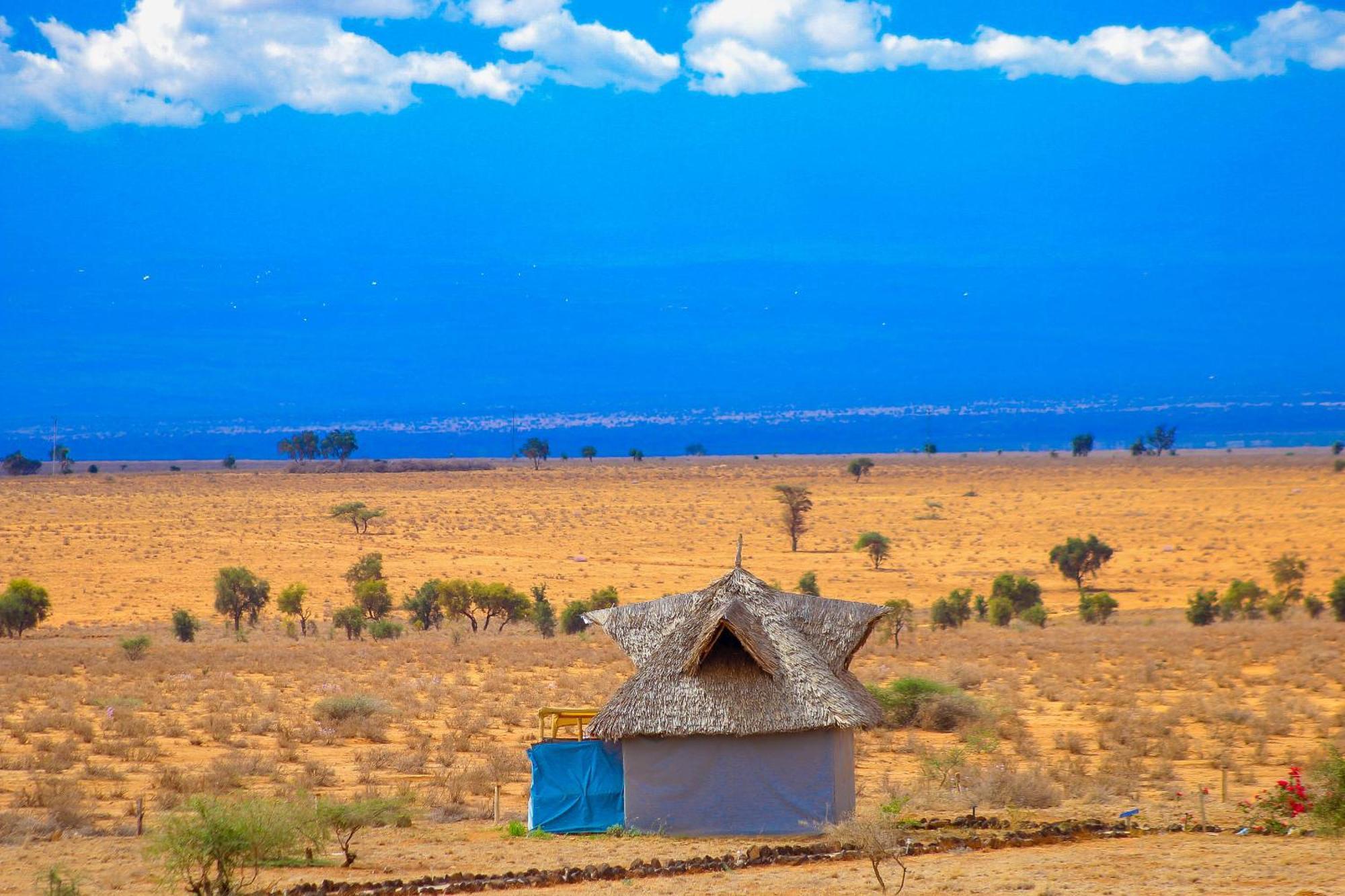 Little Amanya Camp Otel Amboseli Dış mekan fotoğraf