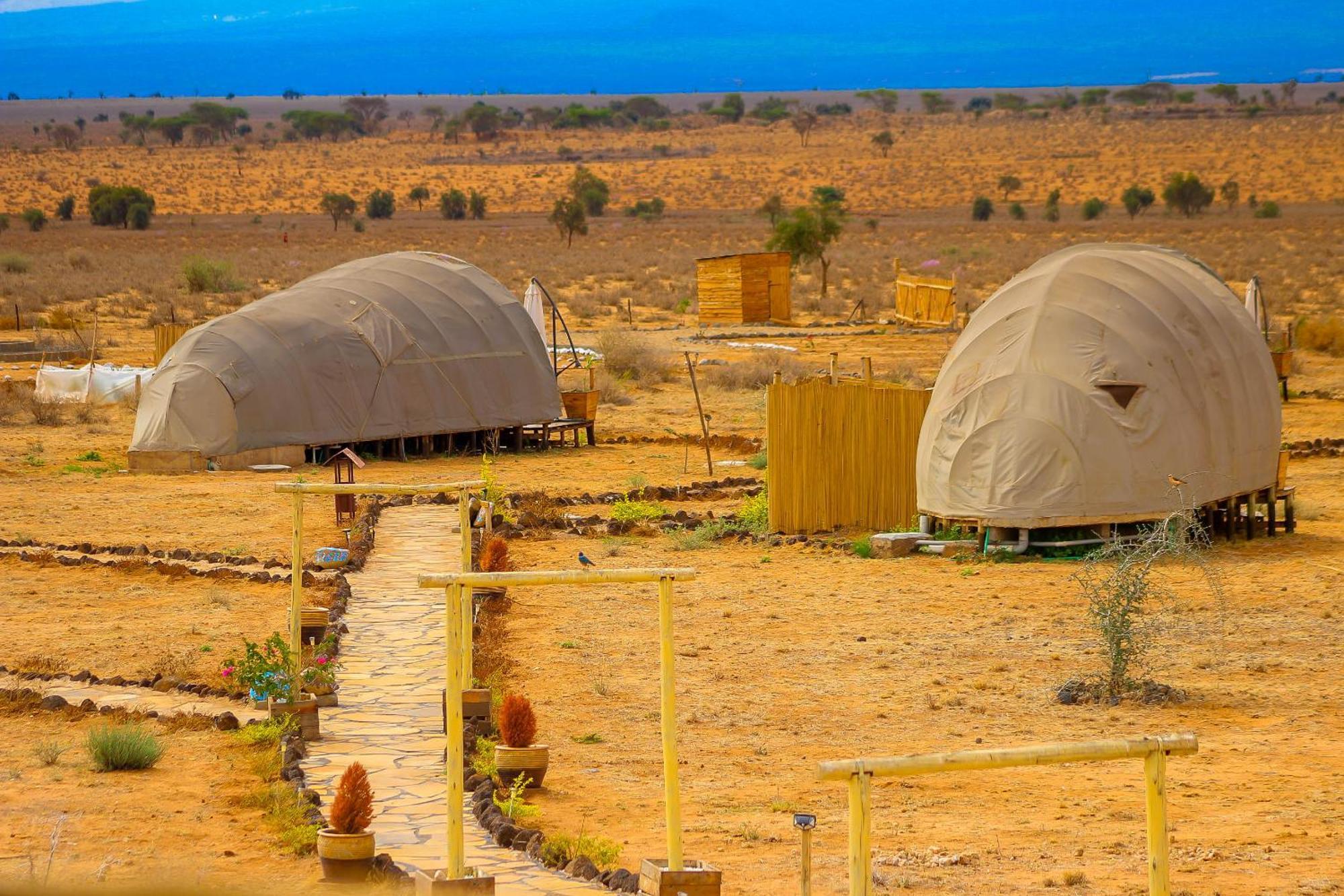 Little Amanya Camp Otel Amboseli Dış mekan fotoğraf