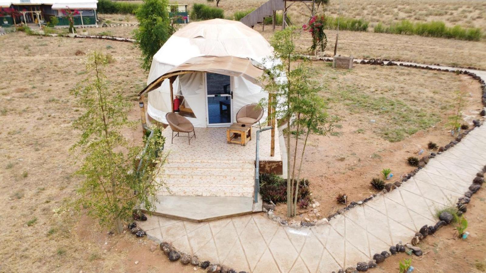 Little Amanya Camp Otel Amboseli Dış mekan fotoğraf