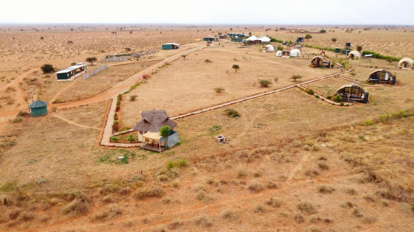 Little Amanya Camp Otel Amboseli Dış mekan fotoğraf